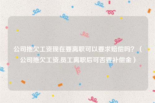 公司拖欠工资现在要离职可以要求赔偿吗？（公司拖欠工资,员工离职后可否要补偿金）