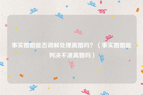 事实婚姻能否调解处理离婚吗？（事实婚姻能判决不准离婚吗）