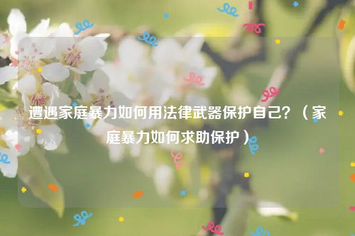 遭遇家庭暴力如何用法律武器保护自己？（家庭暴力如何求助保护）