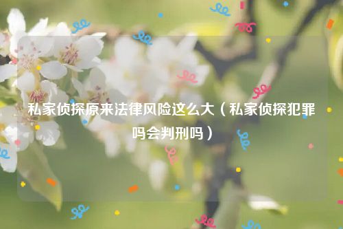 私家侦探原来法律风险这么大（私家侦探犯罪吗会判刑吗）