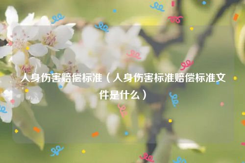 人身伤害赔偿标准（人身伤害标准赔偿标准文件是什么）