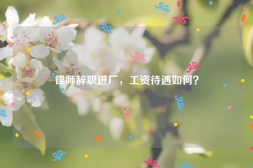 律师辞职进厂，工资待遇如何？