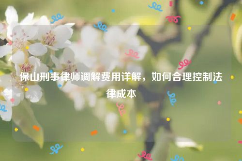 保山刑事律师调解费用详解，如何合理控制法律成本
