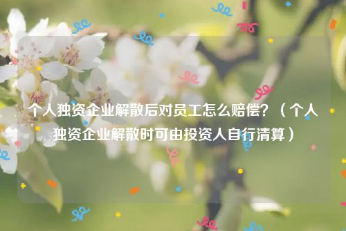 个人独资企业解散后对员工怎么赔偿？（个人独资企业解散时可由投资人自行清算）