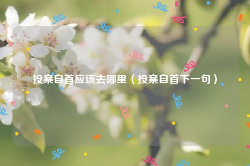 投案自首应该去哪里（投案自首下一句）