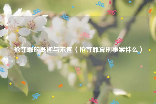 抢夺罪的既遂与未遂（抢夺罪算刑事案件么）