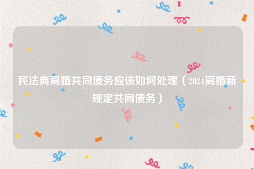 民法典离婚共同债务应该如何处理（2021离婚新规定共同债务）