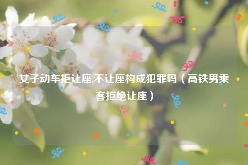 女子动车拒让座,不让座构成犯罪吗（高铁男乘客拒绝让座）