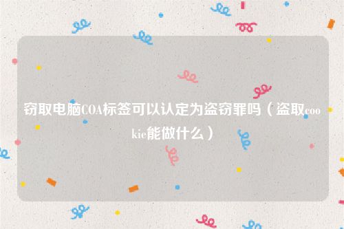 窃取电脑COA标签可以认定为盗窃罪吗（盗取cookie能做什么）