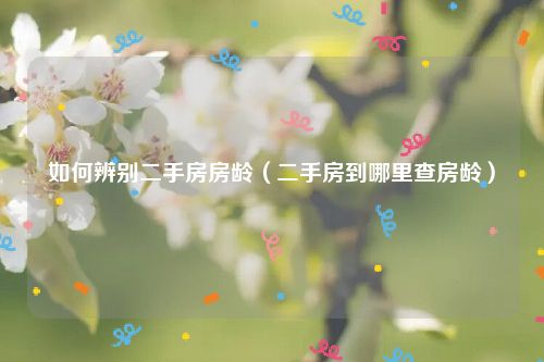 如何辨别二手房房龄（二手房到哪里查房龄）
