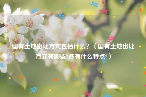 国有土地出让方式包括什么？（国有土地出让方式有哪些?各有什么特点?）