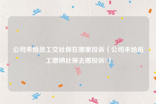 公司未给员工交社保在哪里投诉（公司未给员工缴纳社保去哪投诉?）