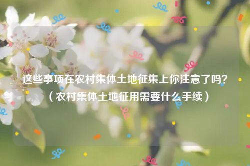这些事项在农村集体土地征集上你注意了吗？（农村集体土地征用需要什么手续）
