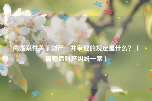 离婚案件关于财产一并审理的规定是什么？（离婚后财产纠纷一案）