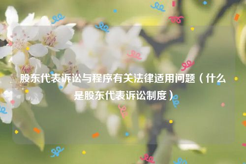 股东代表诉讼与程序有关法律适用问题（什么是股东代表诉讼制度）