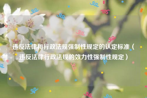 违反法律和行政法规强制性规定的认定标准（违反法律行政法规的效力性强制性规定）