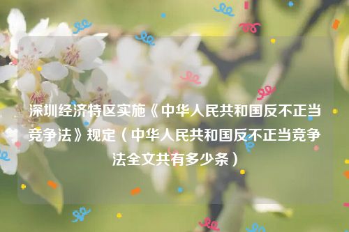 深圳经济特区实施《中华人民共和国反不正当竞争法》规定（中华人民共和国反不正当竞争法全文共有多少条）