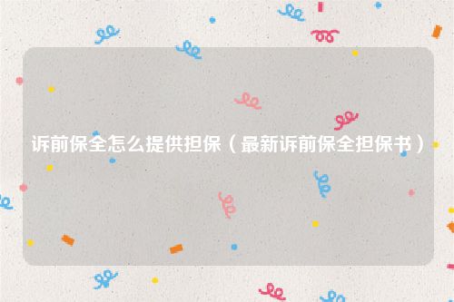 诉前保全怎么提供担保（最新诉前保全担保书）
