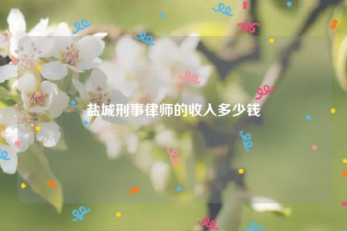 盐城刑事律师的收入多少钱