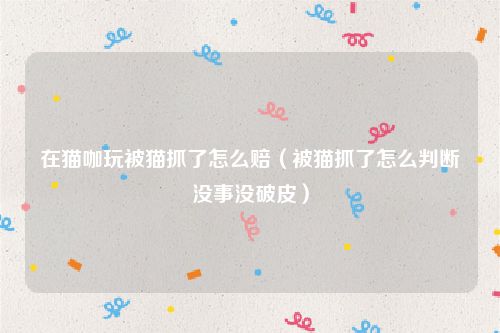 在猫咖玩被猫抓了怎么赔（被猫抓了怎么判断没事没破皮）