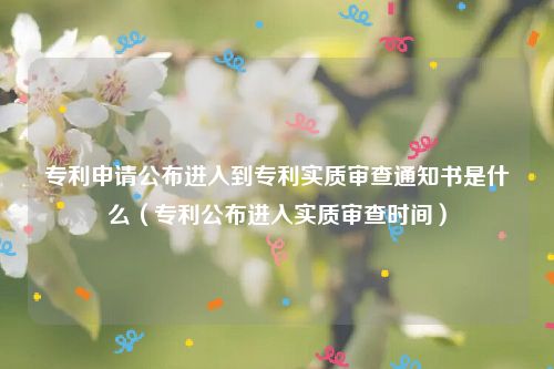 专利申请公布进入到专利实质审查通知书是什么（专利公布进入实质审查时间）