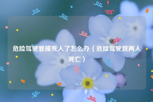 危险驾驶罪撞死人了怎么办（危险驾驶致两人死亡）