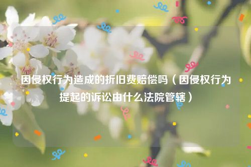 因侵权行为造成的折旧费赔偿吗（因侵权行为提起的诉讼由什么法院管辖）