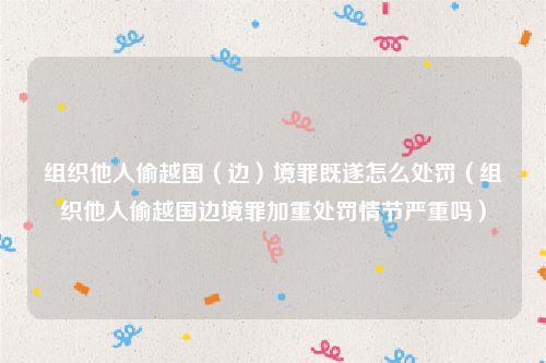组织他人偷越国（边）境罪既遂怎么处罚（组织他人偷越国边境罪加重处罚情节严重吗）