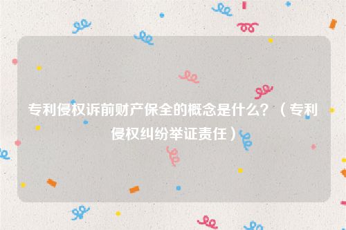 专利侵权诉前财产保全的概念是什么？（专利侵权纠纷举证责任）