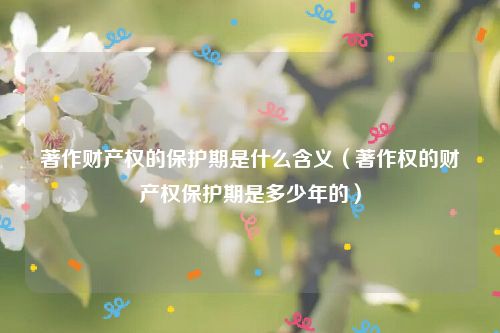 著作财产权的保护期是什么含义（著作权的财产权保护期是多少年的）