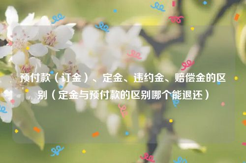 预付款（订金）、定金、违约金、赔偿金的区别（定金与预付款的区别哪个能退还）