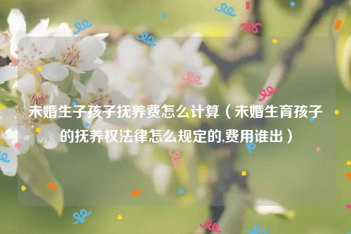 未婚生子孩子抚养费怎么计算（未婚生育孩子的抚养权法律怎么规定的,费用谁出）