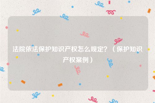 法院依法保护知识产权怎么规定？（保护知识产权案例）