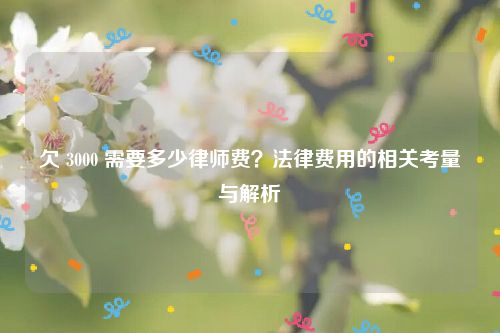 欠 3000 需要多少律师费？法律费用的相关考量与解析