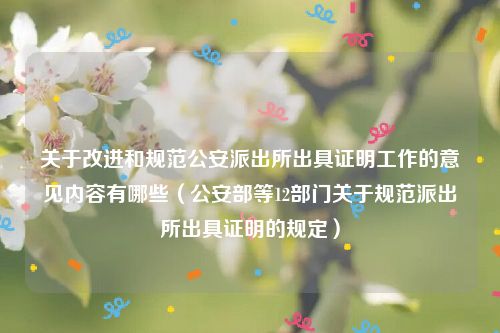 关于改进和规范公安派出所出具证明工作的意见内容有哪些（公安部等12部门关于规范派出所出具证明的规定）