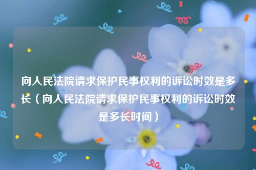 向人民法院请求保护民事权利的诉讼时效是多长（向人民法院请求保护民事权利的诉讼时效是多长时间）