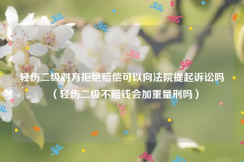 轻伤二级对方拒绝赔偿可以向法院提起诉讼吗（轻伤二级不赔钱会加重量刑吗）