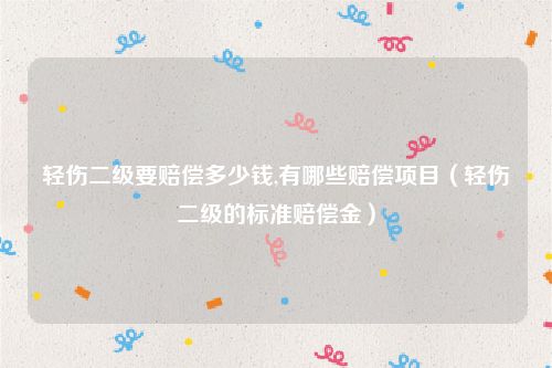 轻伤二级要赔偿多少钱,有哪些赔偿项目（轻伤二级的标准赔偿金）