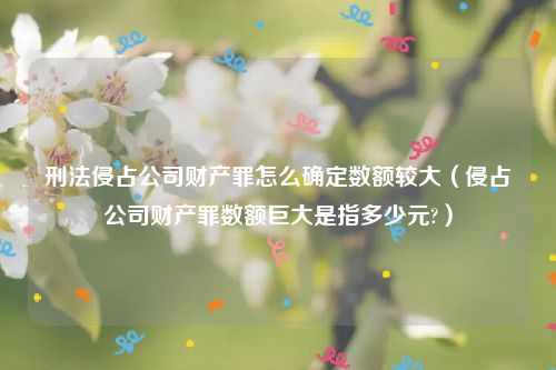刑法侵占公司财产罪怎么确定数额较大（侵占公司财产罪数额巨大是指多少元?）