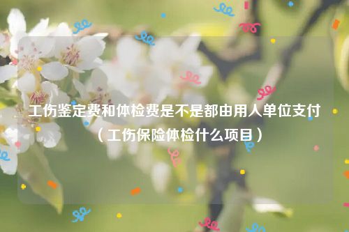 工伤鉴定费和体检费是不是都由用人单位支付（工伤保险体检什么项目）