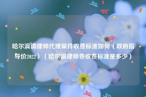 哈尔滨请律师代理案件收费标准如何（政府指导价2022）（哈尔滨律师费收费标准是多少）
