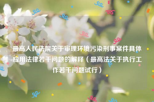 最高人民法院关于审理环境污染刑事案件具体应用法律若干问题的解释（最高法关于执行工作若干问题试行）