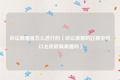 诉讼离婚是怎么进行的（诉讼离婚的过程中可以去民政局离婚吗）