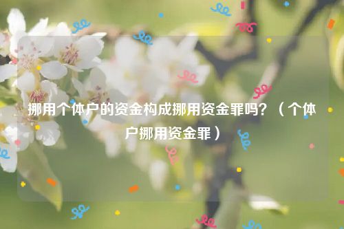 挪用个体户的资金构成挪用资金罪吗？（个体户挪用资金罪）