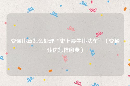 交通违章怎么处理“史上最牛违法车”（交通违法怎样缴费）