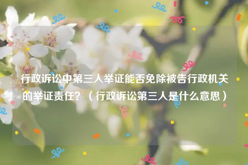 行政诉讼中第三人举证能否免除被告行政机关的举证责任？（行政诉讼第三人是什么意思）