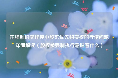 在强制拍卖程序中股东优先购买权的行使问题详细解读（股权被强制执行意味着什么）