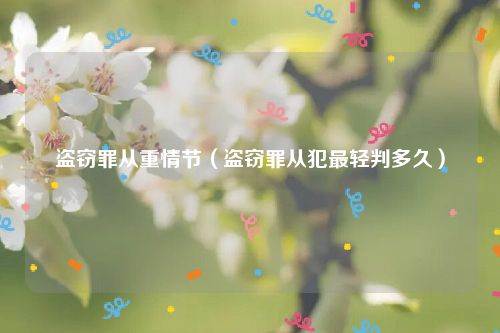 盗窃罪从重情节（盗窃罪从犯最轻判多久）