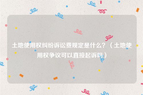 土地使用权纠纷诉讼费规定是什么？（土地使用权争议可以直接起诉吗）