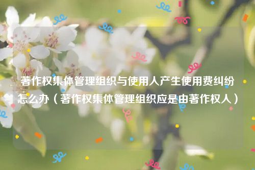 著作权集体管理组织与使用人产生使用费纠纷怎么办（著作权集体管理组织应是由著作权人）